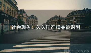 社会现象：久久国产精品被讽刺