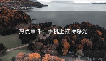 热点事件：手机上推特曝光