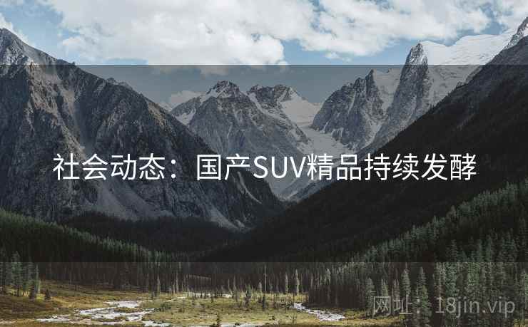 社会动态:国产SUV精品持续发酵 社会动态:国产SUV精品持续发酵