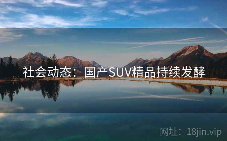 社会动态:国产SUV精品持续发酵 社会动态:国产SUV精品持续发酵